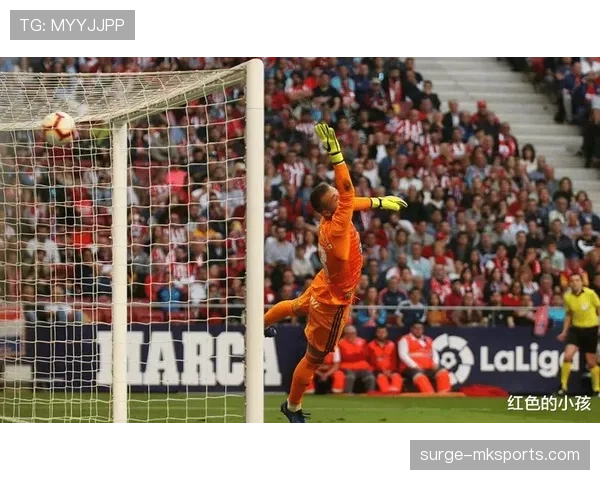 塞尔塔主场迎战劲旅,力争关键胜利延续良好状态 塞尔塔主场迎战劲旅,力争关键胜利延续良好状态