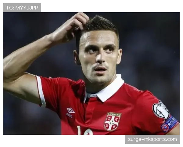 塞尔维亚塔迪奇队长